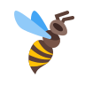 Icona api