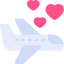 Icona api